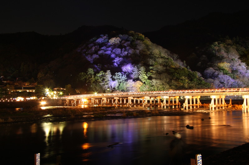 夜の京都